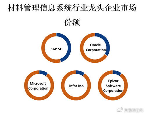 材料管理信息系统行业市场竞争格局与企业总部管理战略分析